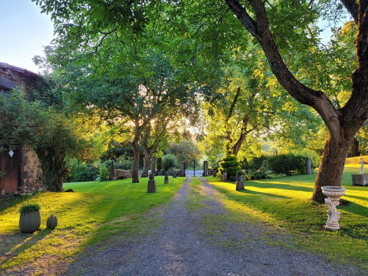 Gites Le Vieux Vinzelles Volvic Exteriör bild