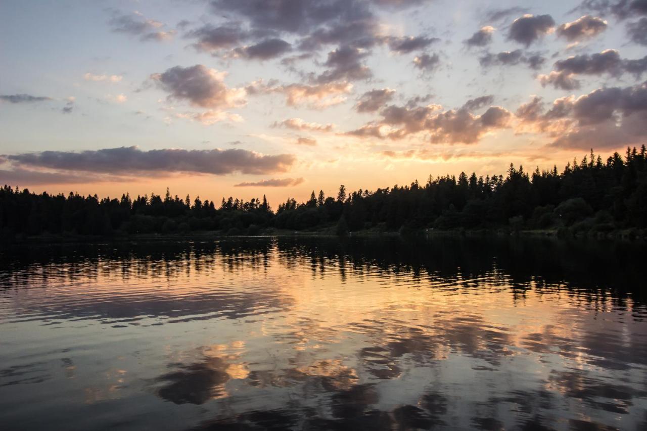 Gites Le Vieux Vinzelles Volvic Exteriör bild