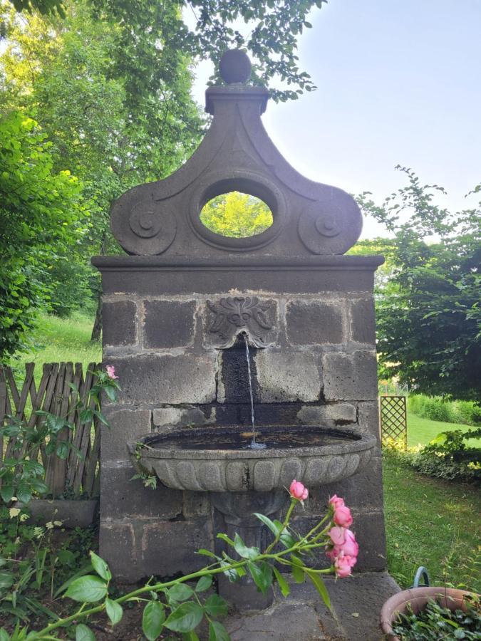 Gites Le Vieux Vinzelles Volvic Exteriör bild
