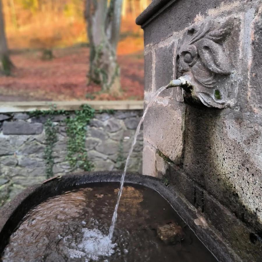 Gites Le Vieux Vinzelles Volvic Exteriör bild