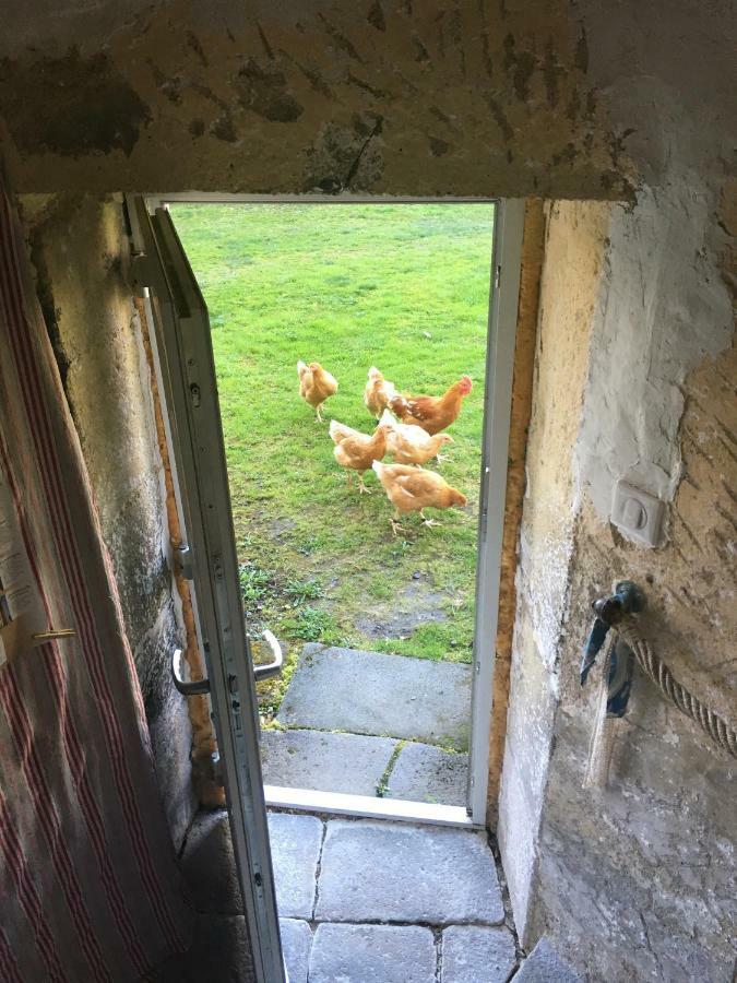 Gites Le Vieux Vinzelles Volvic Exteriör bild